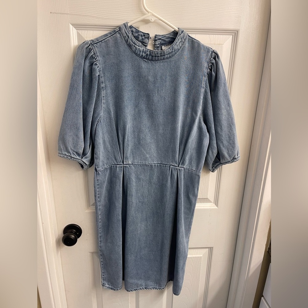 Berta Chambray Puff Sleeve Mini Dress